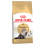 圖片 1