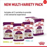 Royal Canin SENSORY™ 貓感系列 - 口感混合裝營養營養主食濕糧（肉汁） *Sensory Feel Adult Cat (Gravy) * 85gX3款各4包（肉汁） (紫袋藍字) [343200]