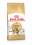 圖片 1