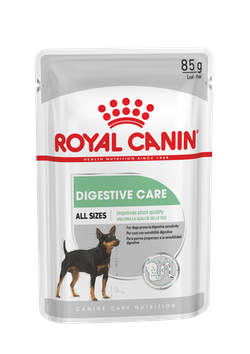 Royal Canin 加護系列 - 成犬消化道加護主食濕糧（肉塊）*Digest Sensitive Care Adult Dog (Loaf)* 85g (淺綠) x 12包原裝同款優惠 [3163400]