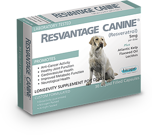 RESVANTAGE® “白藜蘆醇” 新一代抗衰老及抗癌營養品 (犬用) 30粒