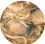 圖片 2
